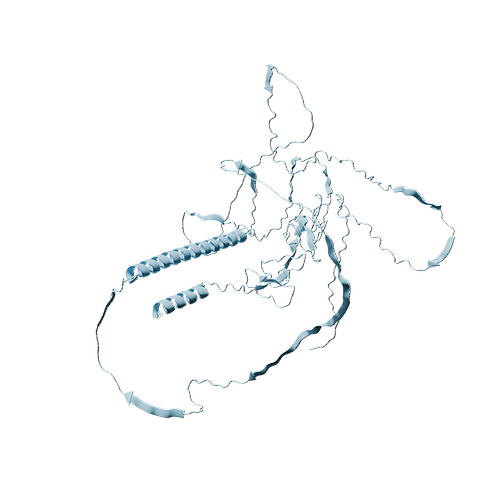 Mouse CD30 (C-6His, HEK293)